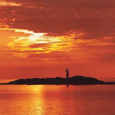 La Belle Vie B&B Santa Maria di Castellabate Eksteriør bilde